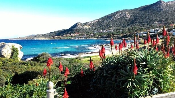 A coastal landscape with a rocky outcrop, red flowering plants, and a view of the sea and distant buildings. - Mini Villa avec imprenable vue sur la mer (Lumio)