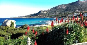 Un paysage côtier avec un affleurement rocheux, des plantes à fleurs rouges et une vue sur la mer et des bâtiments éloignés.
