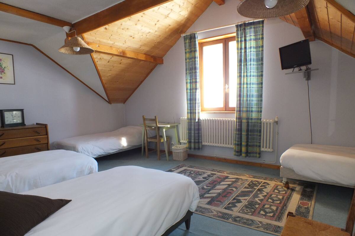 A cozy room with two beds, a desk, a chair, and a television.