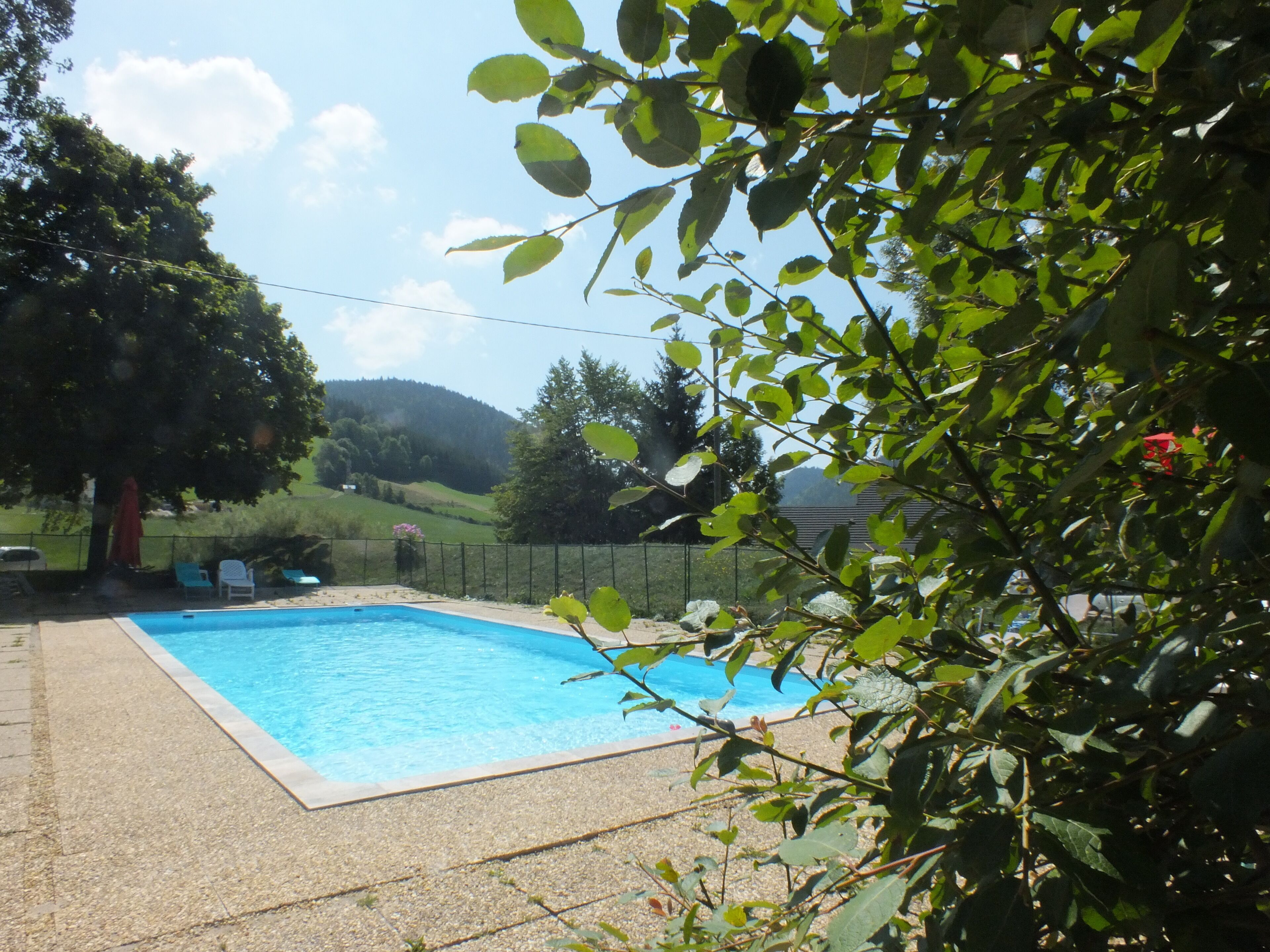 Seasonal outdoor pool, pool umbrellas, sun loungers