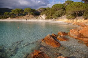 Strand