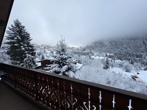 Property grounds - Châtel - Roitet : 3P apartment, quiet, breathtaking view in Chalet Lou P'nots (Châtel)