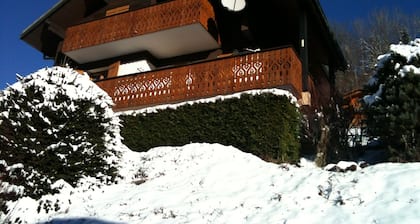 Châtel - Roitet : 3P apartment, quiet, breathtaking view in Chalet Lou P'nots