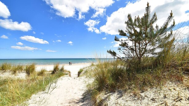 A beach path leading to the ocean, surrounded by sand dunes and sparse vegetation. - Sea view for 4 people, 2 en-suite bathrooms, balcony, directly on the beach (Prora (Binz))