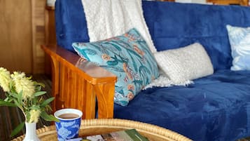 TV, fireplace, books, stereo