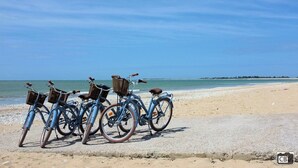 Varias bicicletas estacionadas en una playa arenosa, con el océano al fondo.