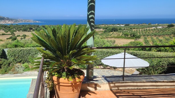 A terrace with a view of the sea, a swimming pool, and a potted plant. - Villa Cursaninco - sea view (Corbara)