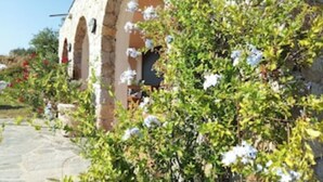 A stone building with arches and a pathway. - Villa Cursaninco - sea view (Corbara)
