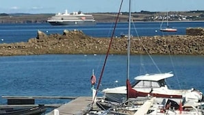 A marina with boats docked, a large cruise ship in the background, and a rocky breakwater.