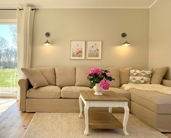 Smart TV, chimenea y reproductor de DVD 