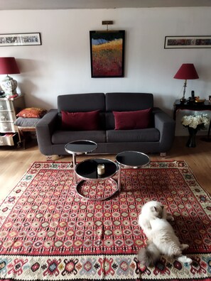 Televisio, takka, DVD-soitin, kirjoja