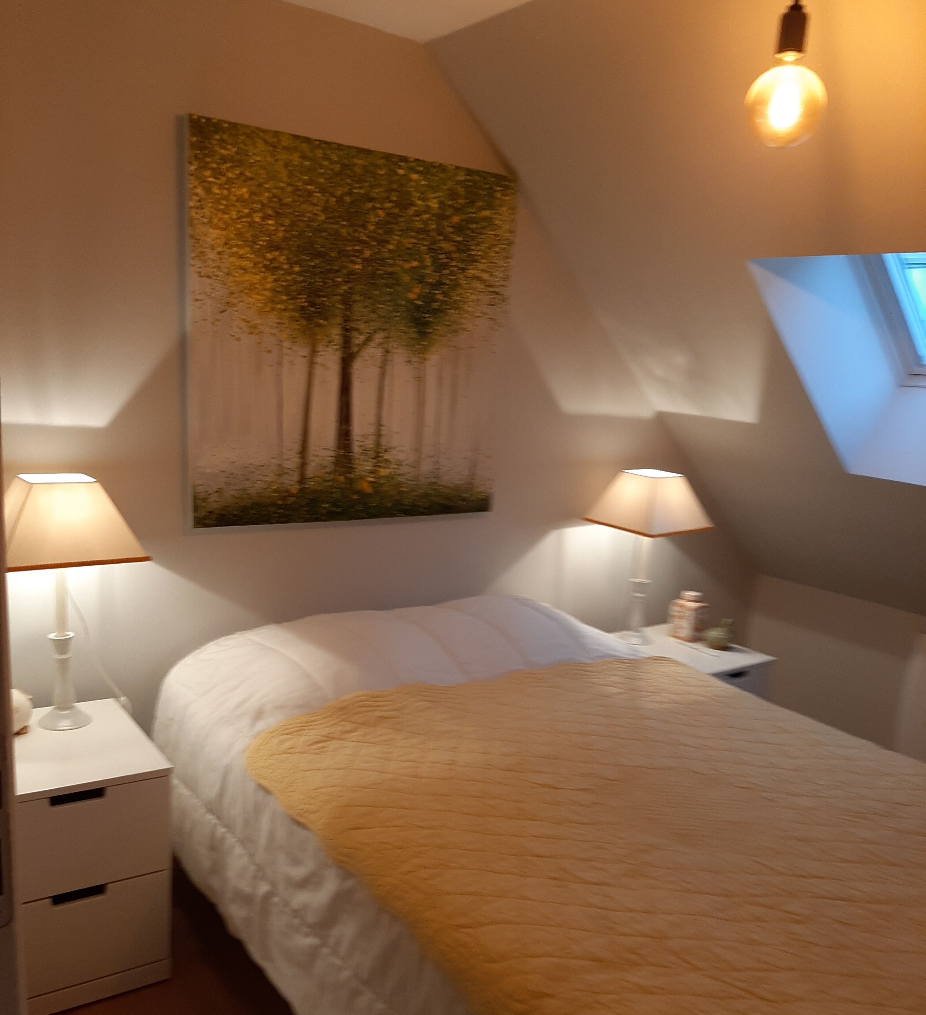 3 slaapkamers, een strijkplank/strijkijzer, gratis wifi, beddengoed