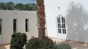 A palm tree in front of a white building with a door and windows. - Modern villa with swimming pool just è kms from Essaouira (Essaouira)
