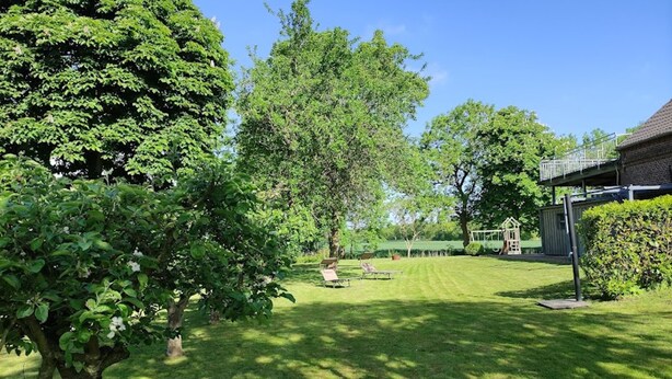 Een verzorgde achtertuin met gazon, een grote boom en een klein speeltuintje.