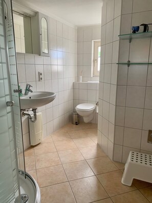Shower, hair dryer, soap, toilet paper