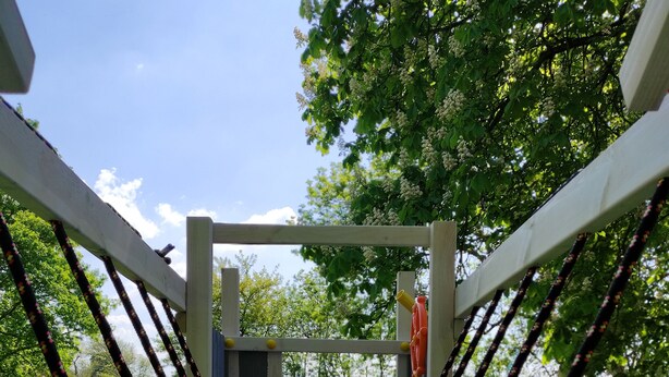 Une structure de pont en bois, avec des cordes et une plateforme, entourée de verdure.