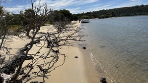 A beach with a boat on the shore, surrounded by trees and a clear sky.