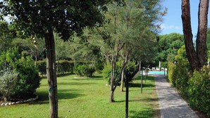 A paved pathway in a park with trees and greenery.