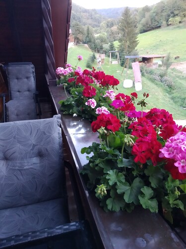 Ferienwohnung Sonnenblick