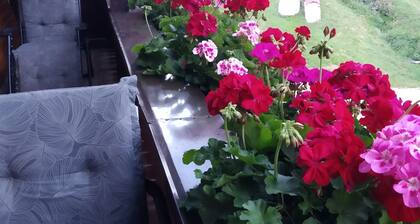 Vacation apartment Sonnenblick