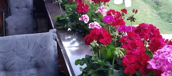 Vacation apartment Sonnenblick