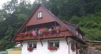 Vacation apartment Sonnenblick