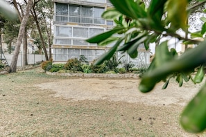 A building with a large window, surrounded by trees and a grassy area.