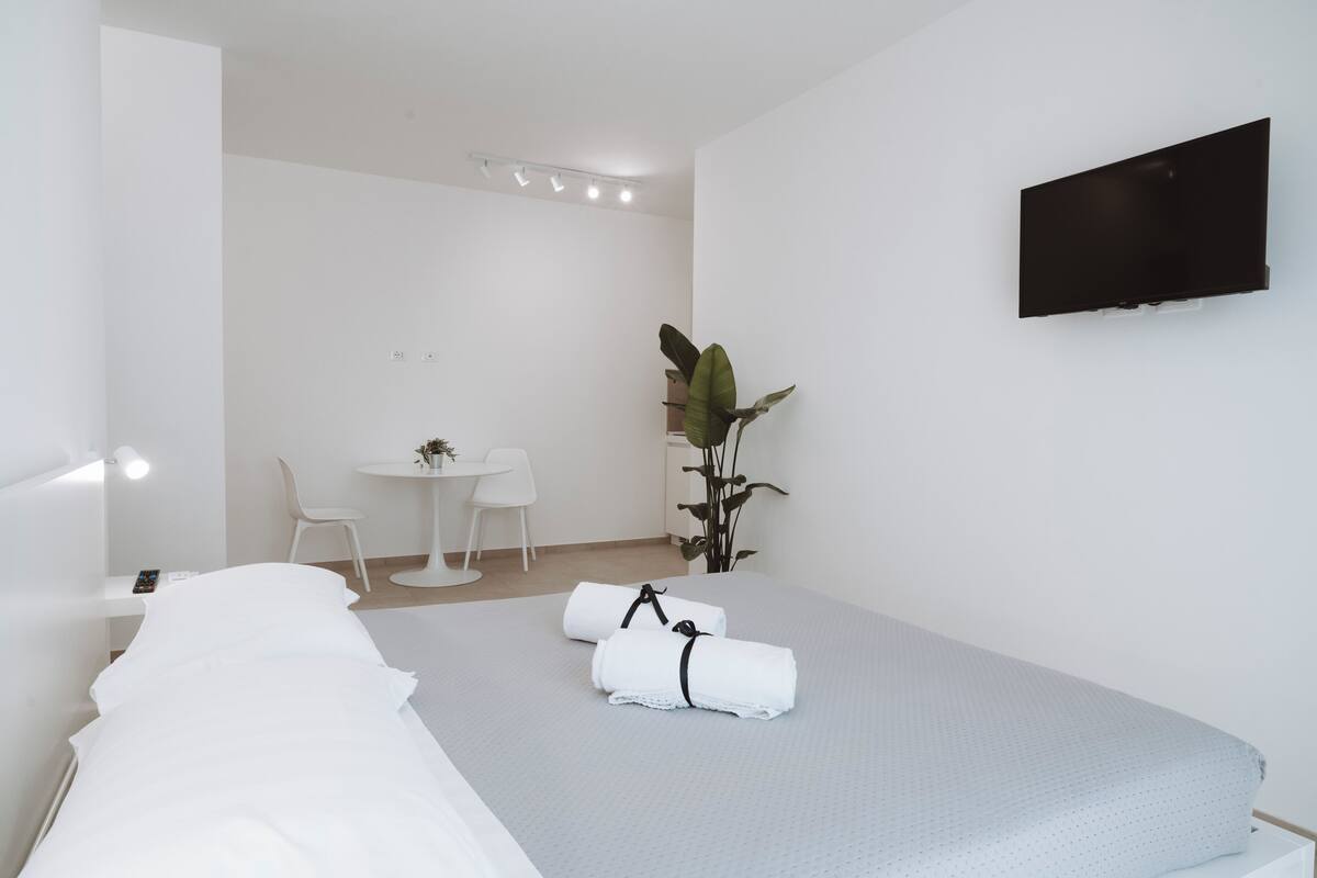 Quarto de hotel moderno com uma cama de solteiro, uma escrivaninha, uma cadeira, uma TV e uma planta.