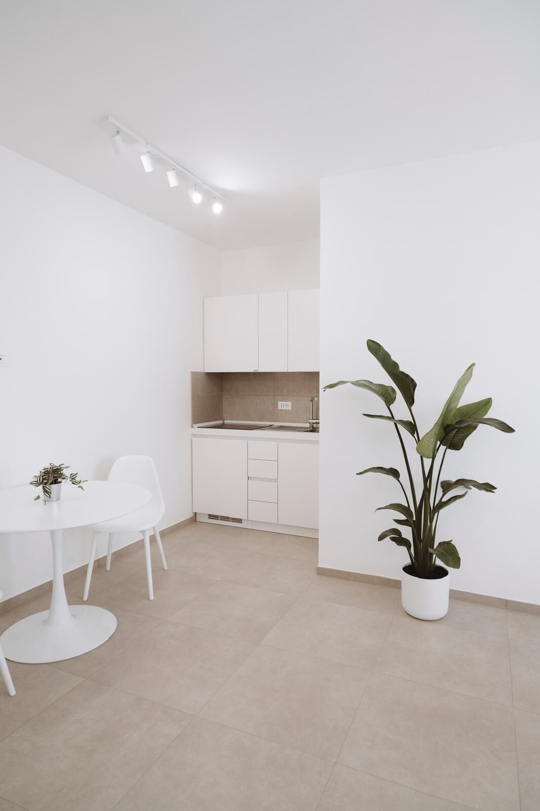 Eine moderne Küche mit weißen Schränken, einer Spüle und einem Blumentopf.
