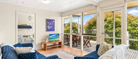 Télévision, lecteur de DVD, livres, vidéothèque