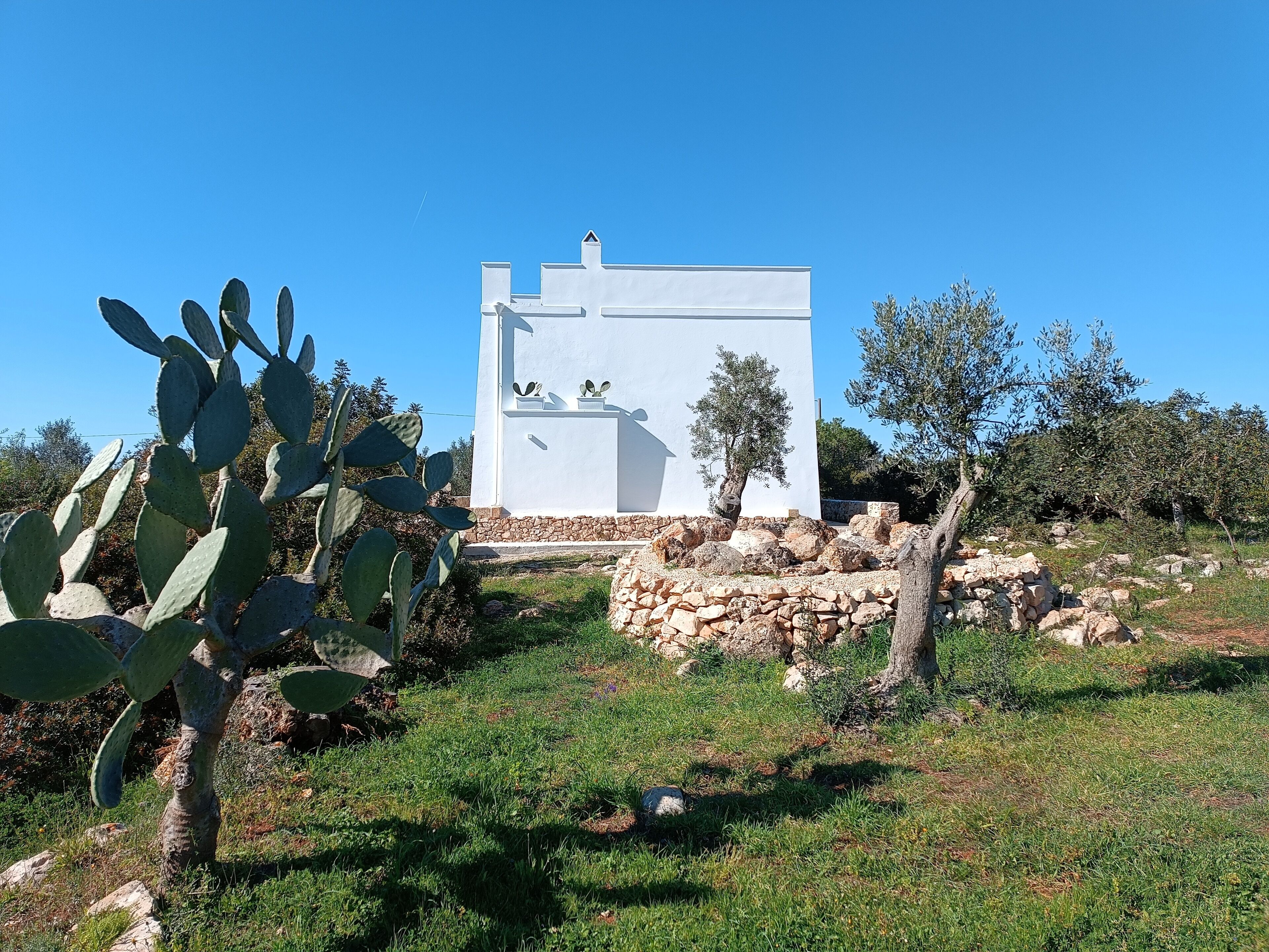 Un edificio blanco con base de piedra, rodeado de vegetación y cactus.