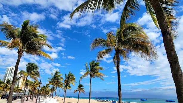 Ein Strand mit Palmen, einem weißen Gebäude und blauen Sonnenschirmen.