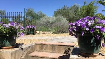 Terrein van de accommodatie