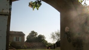 An outdoor area with a pathway leading to a building, a small pond, and a garden with a rose bush. - Architect's converted olive mill in historic town with garden and heated pool (Lorgues)