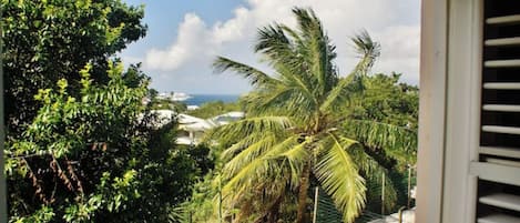 A view from a balcony overlooking a pool area with palm trees and a clear sky.