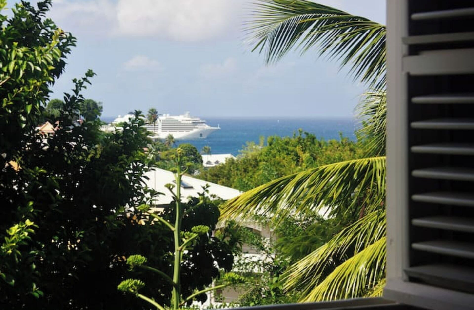 A view of a cruise ship on the ocean with a tropical landscape in the foreground.