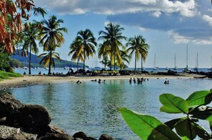 A beach with palm trees, boats, and people swimming.