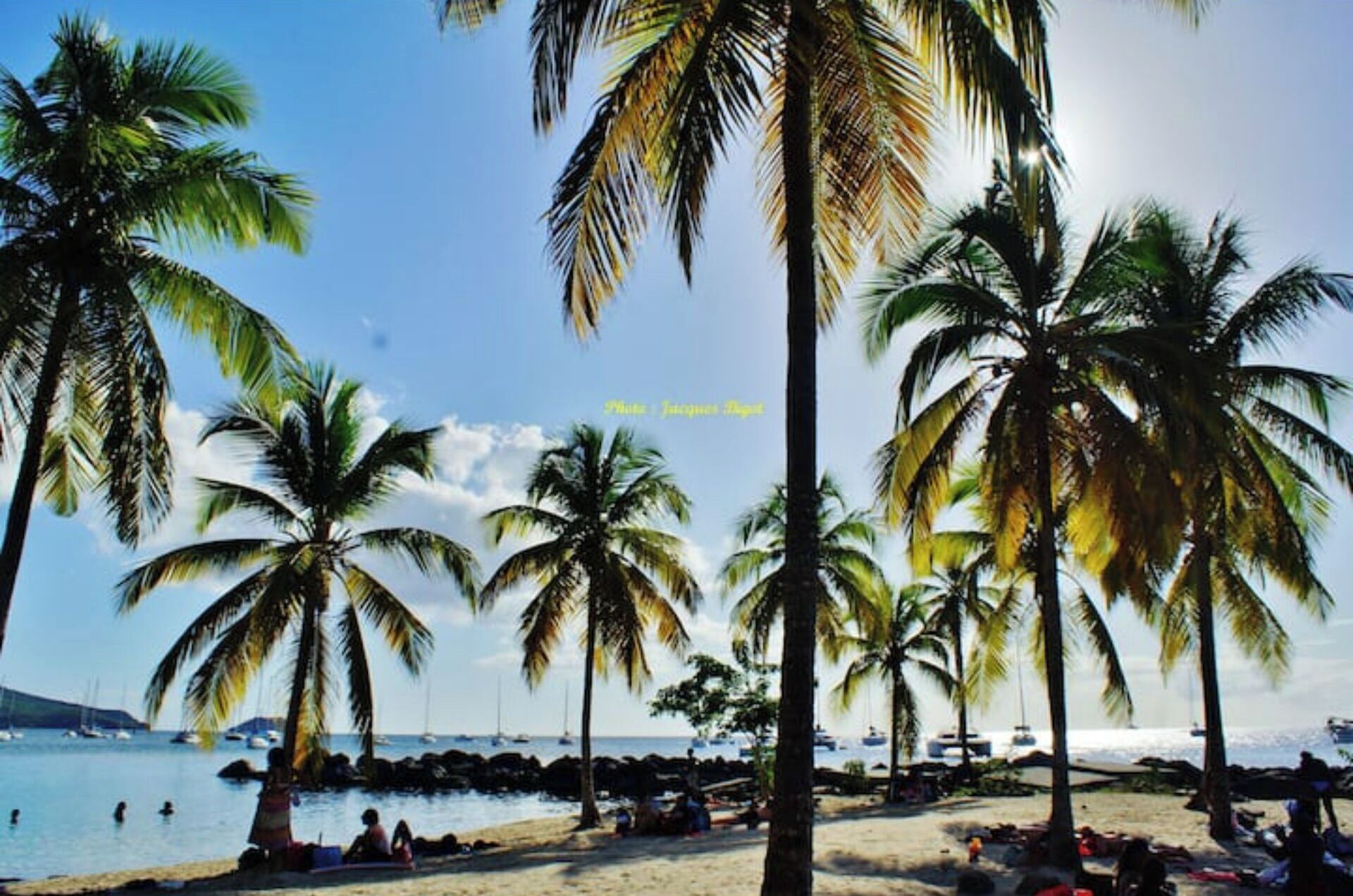 A beach with palm trees, people relaxing, and boats in the water.