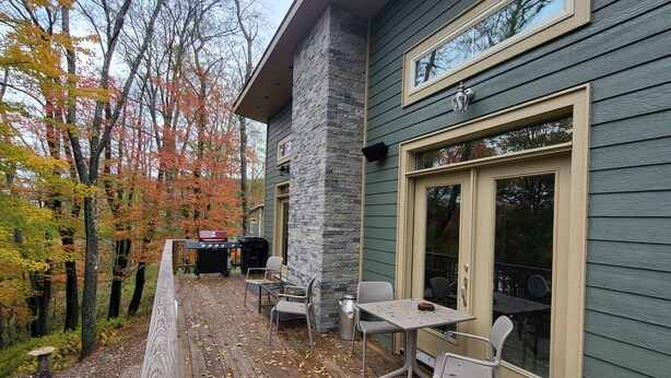 A deck with outdoor seating and a barbecue grill, surrounded by trees with autumn leaves. -  2 bd 2bth, Thomas, WV, near Canaan and Davis, WV skiing, trails, State Parks  (Thomas)