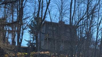 A two-story building surrounded by leafless trees and a grassy area.