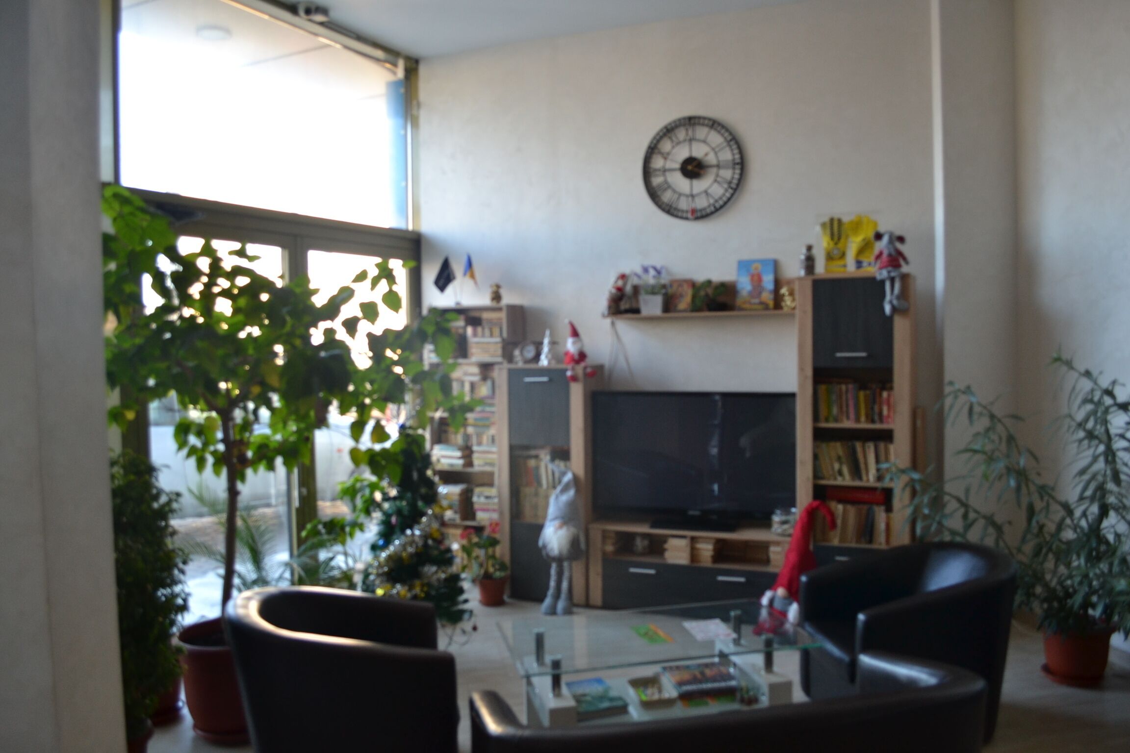 Photo - Live Tulcea Hotel