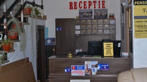 A reception desk with a lion painting above, a wooden staircase with potted plants, and a wall-mounted phone.