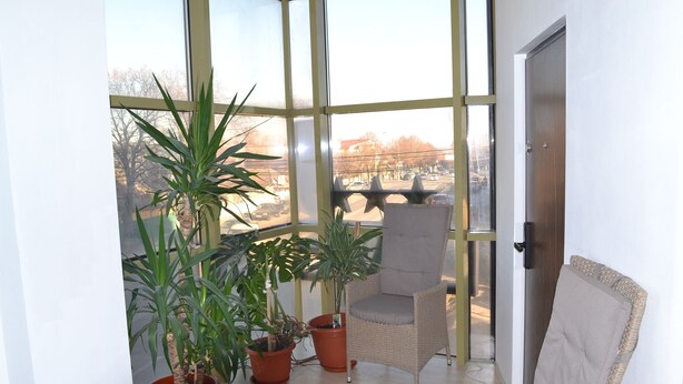 A balcony with potted plants, a wicker chair, and a view of the cityscape.