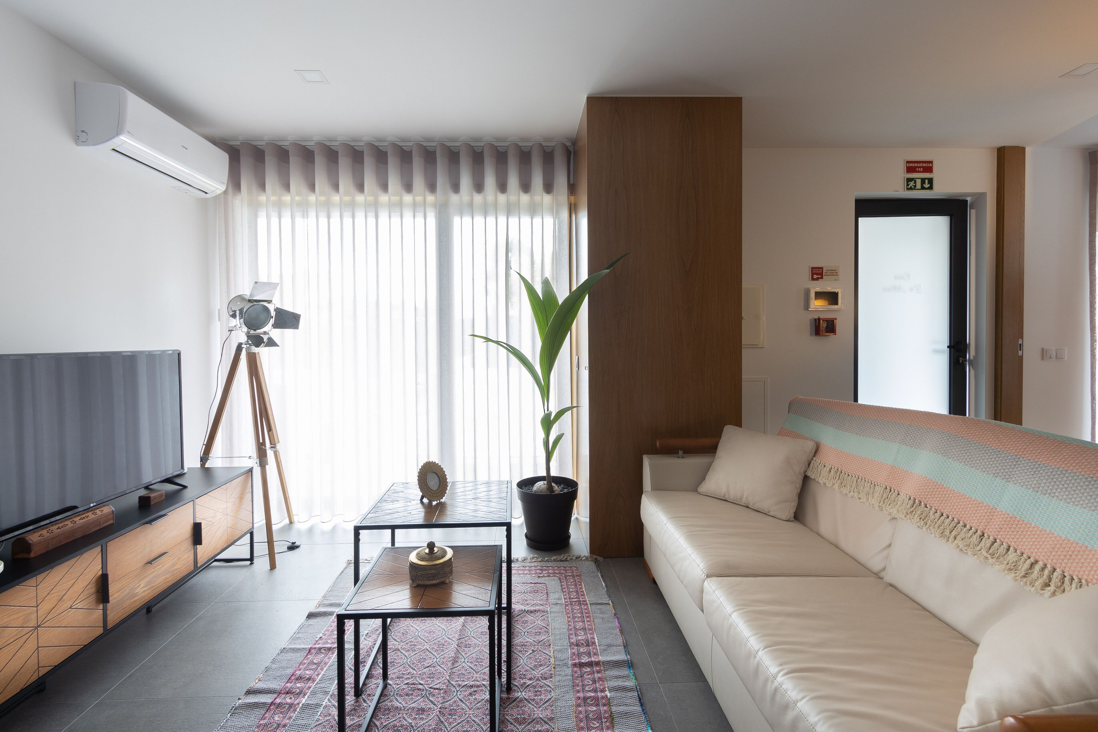 Una sala de estar moderna con un sofá, un televisor, un trípode, una planta en maceta y un tapete estampado.