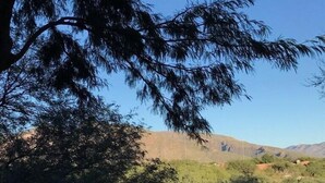 A natural landscape with trees and hills. - Spacious Split Floor Plan with Pool and Mountain views (Tucson)