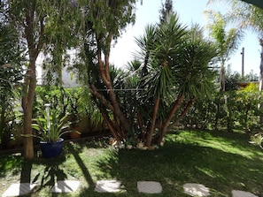 Un jardin avec des palmiers, une plante en pot et un chemin pavé.