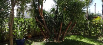 Cozy studio in the garden with terrace