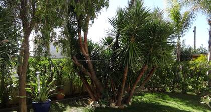 Cozy studio in the garden with terrace