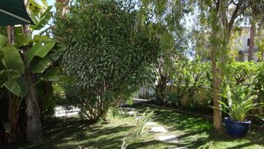 Ein Garten mit verschiedenen Pflanzen und einem Kiesweg.