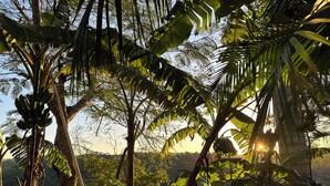 A tropical landscape with dense foliage and a view of the sea. - Costa del Sol Iguazú Nature, river & Jacuzzi (Puerto Iguazú)